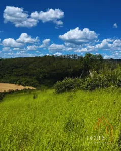 Lote/Terreno à venda, 600m² no Jundiaizinho (Terra Preta), Mairiporã