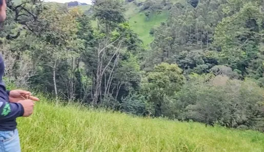 Fazenda/Sítio à venda, 12100m² no Jardim Ana Maria, Cambuí
