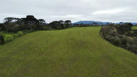 Fazenda/Sítio à venda, 200000m² no , Bom Retiro
