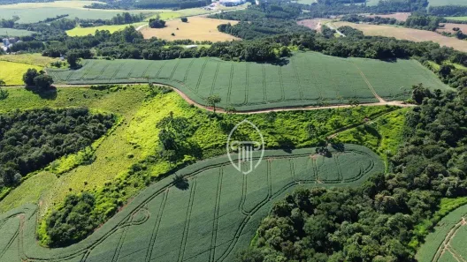 Fazenda/Sítio à venda, 2503200m² no , Tibagi