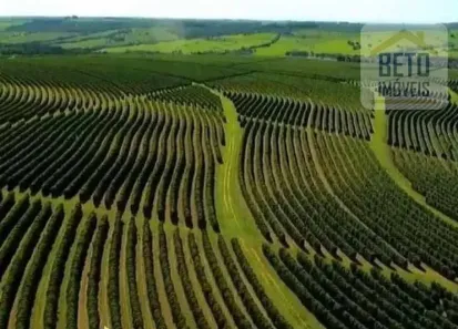 Fazenda/Sítio à venda, 53000000m² no Estação, Franca