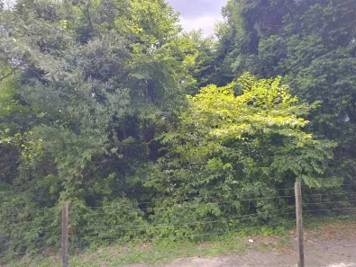Lote/Terreno à venda, 3792m² no Panazzolo, Caxias do Sul