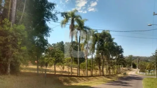 Fazenda/Sítio com 3 Quartos à venda, 490m² no Lomba Grande, Novo Hamburgo