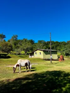 Fazenda/Sítio com 3 Quartos à venda, 121000m² no , Mandaguari