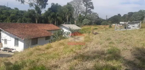 Fazenda/Sítio com 3 Quartos à venda, 220m² no Juca Rocha (Mailasqui), São Roque