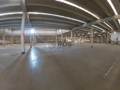 Galpão/Depósito/Armazém para alugar, 2800m² no Vila Gea, São Paulo