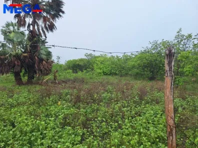 Lote/Terreno à venda, 12m² no Toco (Jurema), Caucaia