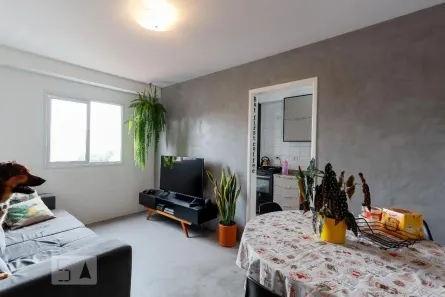Apartamento com 2 Quartos à venda, 53m² no Vila Nova Mazzei, São Paulo