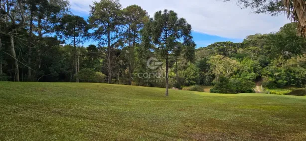 Fazenda/Sítio com 5 Quartos à venda, 45000m² no Colônia Murici, São José dos Pinhais