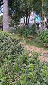 Apartamento com 3 Quartos à venda, 142m² no Vila Gustavo, São Paulo