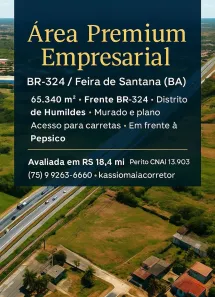 Lote/Terreno à venda, 65340m² no Subaé, Feira de Santana