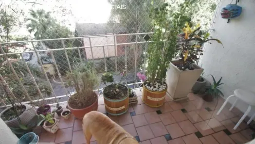 Apartamento com 4 Quartos à venda, 94m² no Jardim Ampliação, São Paulo