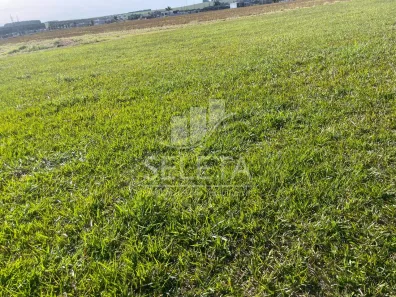 Lote/Terreno à venda, 522m² no Recanto Tropical, Cascavel