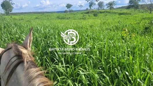 Fazenda/Sítio à venda, 1000m² no , Novo Acordo