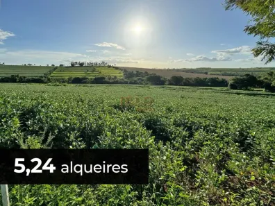 à venda, 126808m² no Aparecida D'Oeste, Tuneiras do Oeste