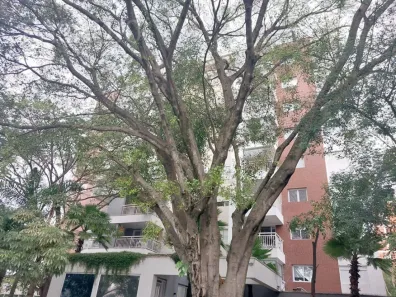 Apartamento com 1 Quarto para alugar, 155m² no Pinheiros, São Paulo