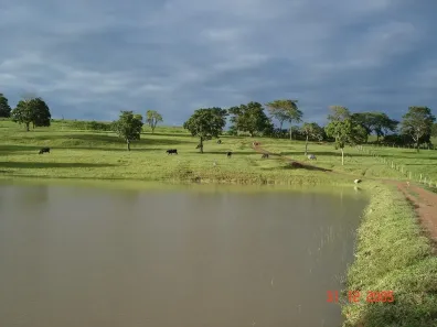 Fazenda/Sítio com 3 Quartos à venda, 8m² no Área Rural de Palmeiras de Goiás, Palmeiras de Goiás