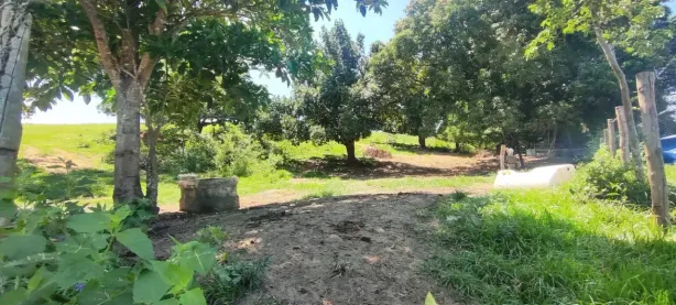 Fazenda/Sítio à venda, 87000m² no Papucaia, Cachoeiras de Macacu