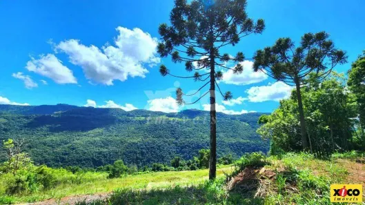 Fazenda/Sítio com 1 Quarto à venda, 5000m² no Dos Boêmios, Nova Petrópolis