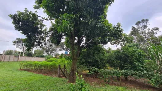 Fazenda/Sítio à venda, 1250m² no Chácaras Renno, Piratininga