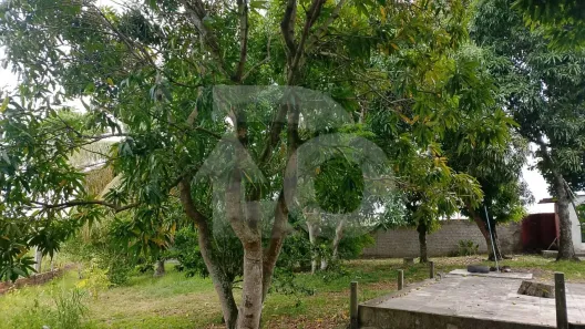 Fazenda/Sítio com 4 Quartos à venda, 2000m² no Sobrado, Nossa Senhora do Socorro