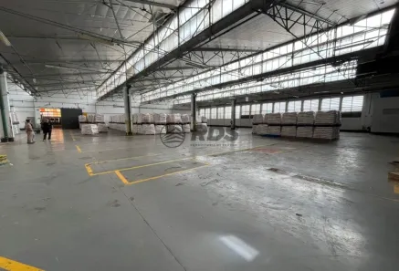 Galpão/Depósito/Armazém para alugar, 6200m² no Vila Almeida, São Paulo