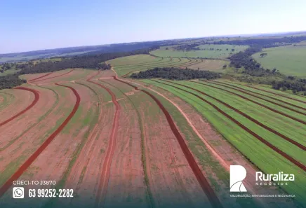 Fazenda/Sítio à venda, 401m² no Centro, Uberaba
