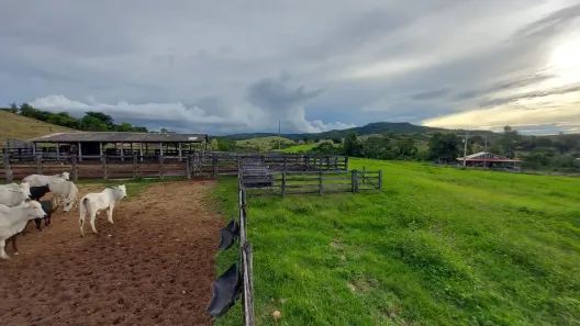 Fazenda/Sítio à venda, 13720000m² no , Brasilândia