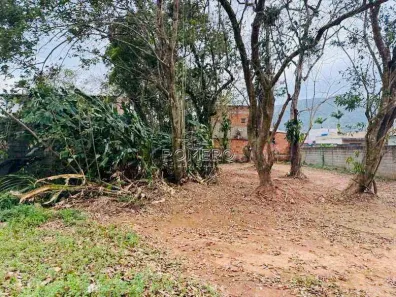 Lote/Terreno à venda, 250m² no Maranduba, Ubatuba