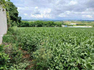 Lote/Terreno à venda, 22122m² no Centro, Marialva