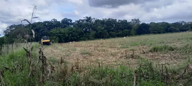 Fazenda/Sítio com 2 Quartos à venda, 145200m² no Área Rural de Tatuí, Tatuí