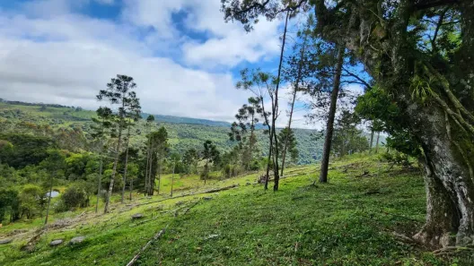 Fazenda/Sítio à venda, 32000m² no , Bocaina do Sul