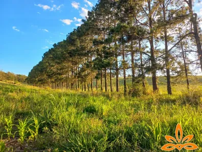 Lote/Terreno à venda, 500m² no Centro, Guarulhos