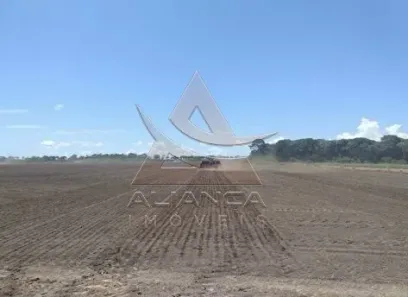 Fazenda/Sítio com 2 Quartos à venda, 297390000m² no Zona Rural, Santa Fé do Araguaia