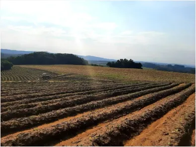 Lote/Terreno à venda, 12000m² no INTERIOR, Mariana Pimentel