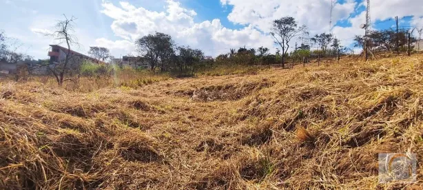 Lote/Terreno à venda, 237m² no Atibaia Belvedere, Atibaia