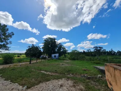 Fazenda/Sítio com 4 Quartos à venda, 1404000m² no São Vicente de Paula, Araruama