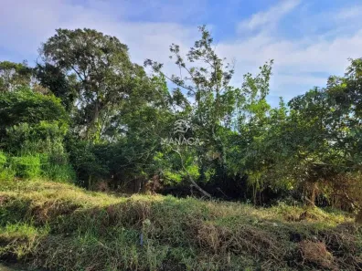Lote/Terreno à venda, 406m² no Quinta dos Açorianos, Barra Velha