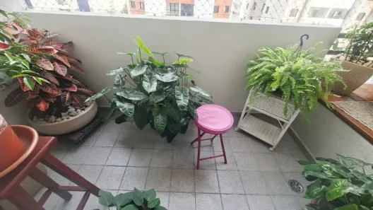 Apartamento com 2 Quartos à venda, 65m² no Vila Mascote, São Paulo