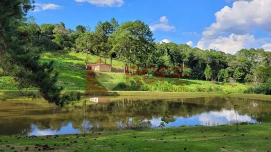 Lote/Terreno à venda, 1000m² no Pavão (Canguera), São Roque