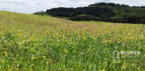 Fazenda/Sítio à venda, 40340m² no , Bom Sucesso