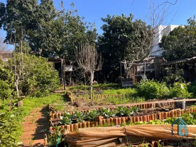 Lote/Terreno à venda, 715m² no Centro, Palmeira das Missões