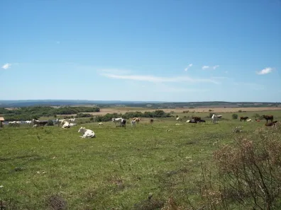 Fazenda/Sítio com 10 Quartos à venda, 22700000m² no Zona Rural, Xangri-Lá