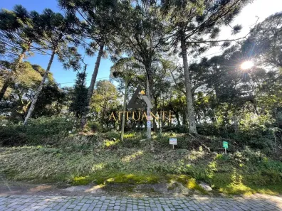 Lote/Terreno à venda, 455m² no Bela Vista, Caxias do Sul