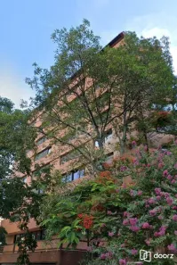 Apartamento com 1 Quarto à venda, 51m² no Três Figueiras, Porto Alegre