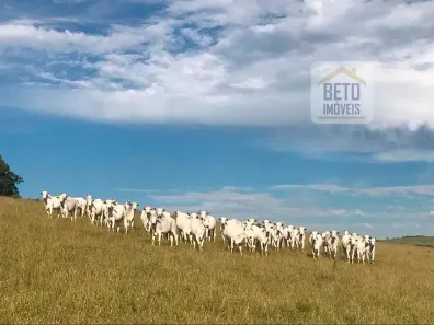 Fazenda/Sítio à venda, 22602800m² no , Paranapanema