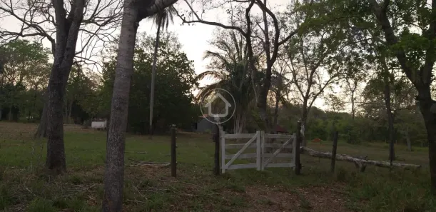 Fazenda/Sítio com 1 Quarto à venda, 5000m² no , Terenos
