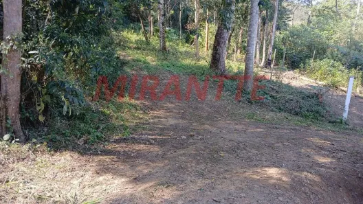 Lote/Terreno à venda, 550m² no Santa Inês, Mairiporã