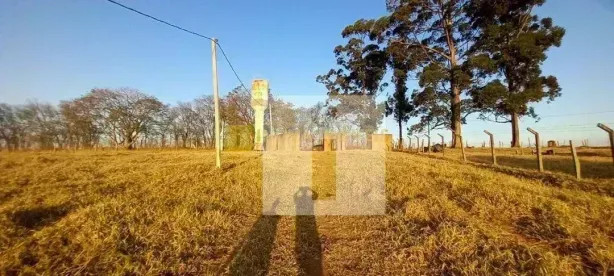 Fazenda/Sítio à venda, 217800m² no Joaquim Egídio, Campinas