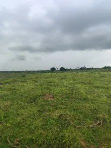 Fazenda/Sítio com 3 Quartos à venda, 2850000m² no , Santo Antônio